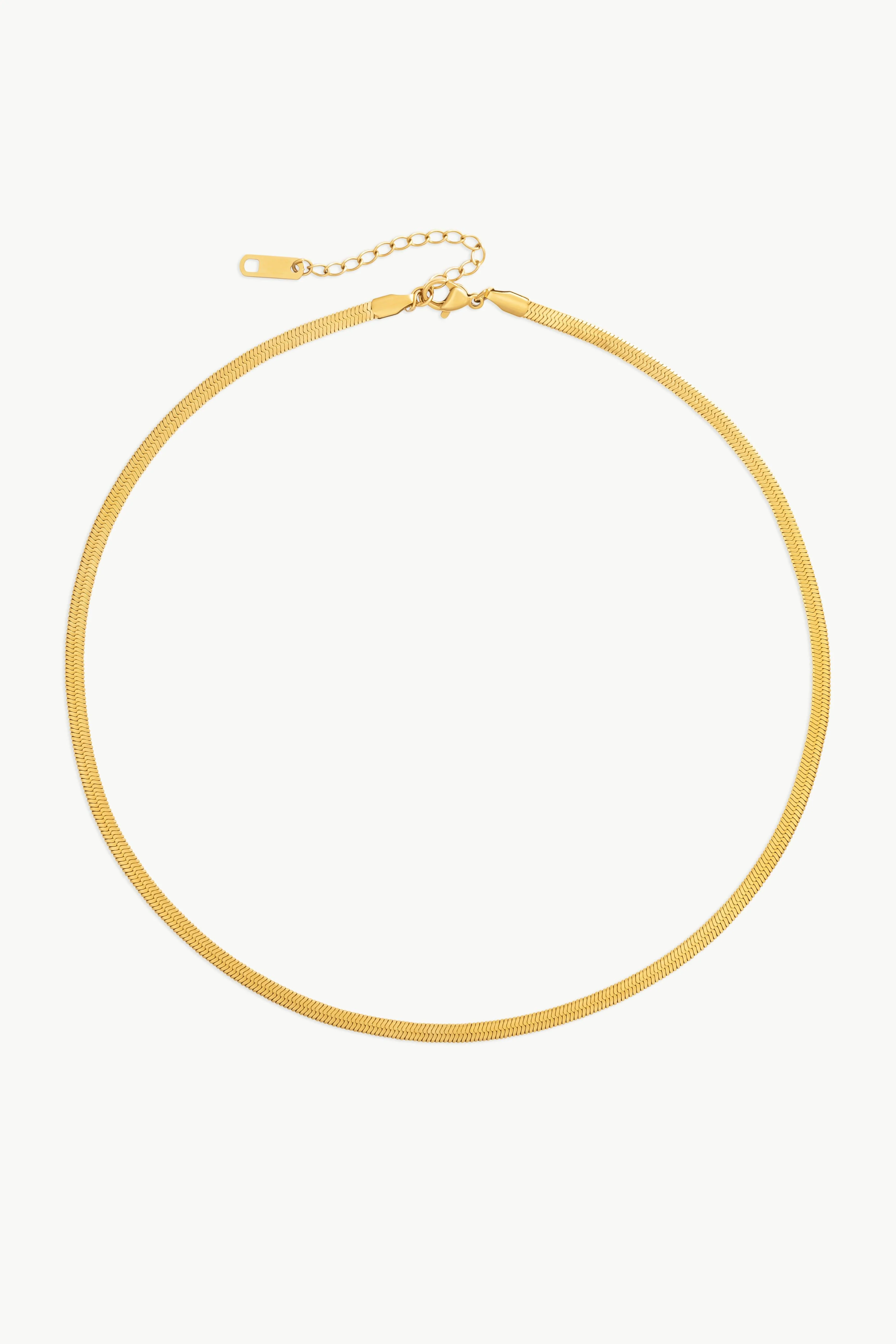 The Snake Chain Necklace